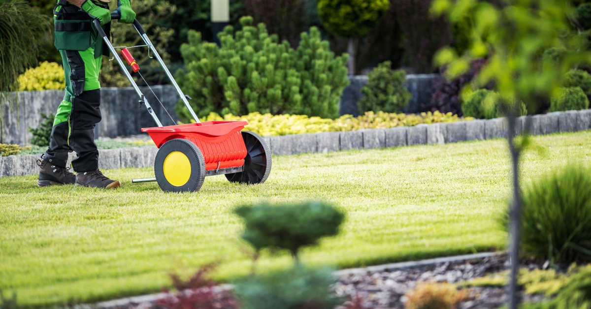 A professional lawn care specialist pushing a fertilizer bucket across someone's yard. The grass is quite short.