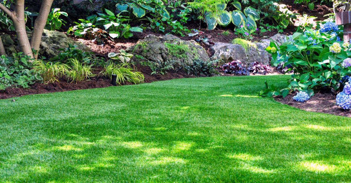 A patch of grass cutting between two sections of a garden. The garden has a wide assortment of trees, plants, and rocks.