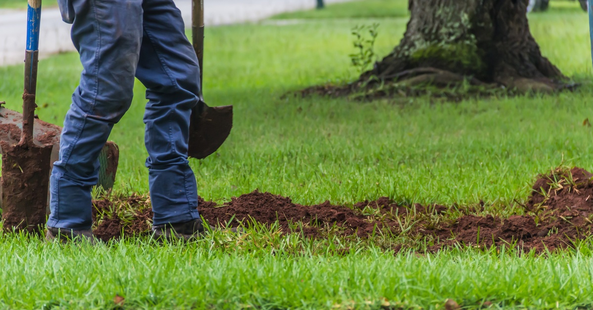 A landscaper holding two shovels standing next to a row of dirt. They are currently working on an irrigation trench.