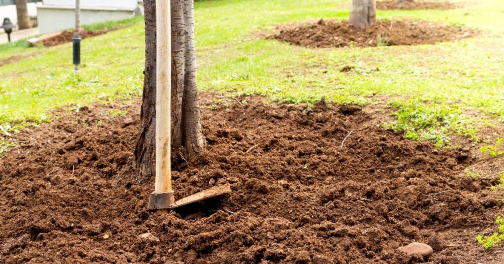 A tool with a long wooden handle resting in soil near the base of a tree in a circular patch of freshly turned dirt.