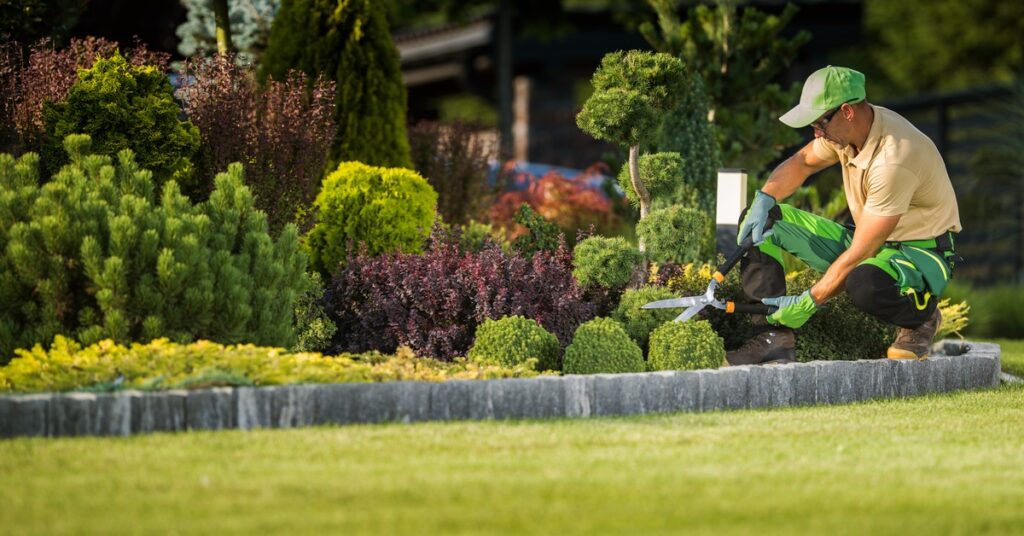 A man crouched in a garden, using hedge clippers on a small bush. The garden looks expertly maintained.