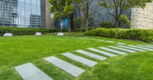 A modern office courtyard featuring stone pavers crossing green lawn surrounded by manicured hedges and upright trees.