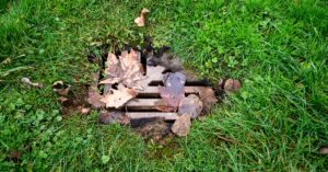 Water-soaked leaves covering and blocking a metal drain surrounded by thick green grass, rocks, and debris.