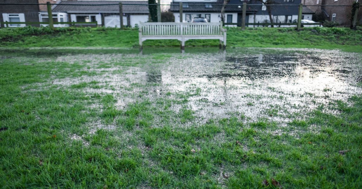 A lawn covered in standing rainwater stretching out in front of a white bench and nearby neighborhood homes.
