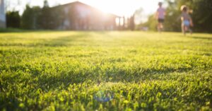 A brightly lit lawn with the sun setting behind a home in the background and children running out of focus.