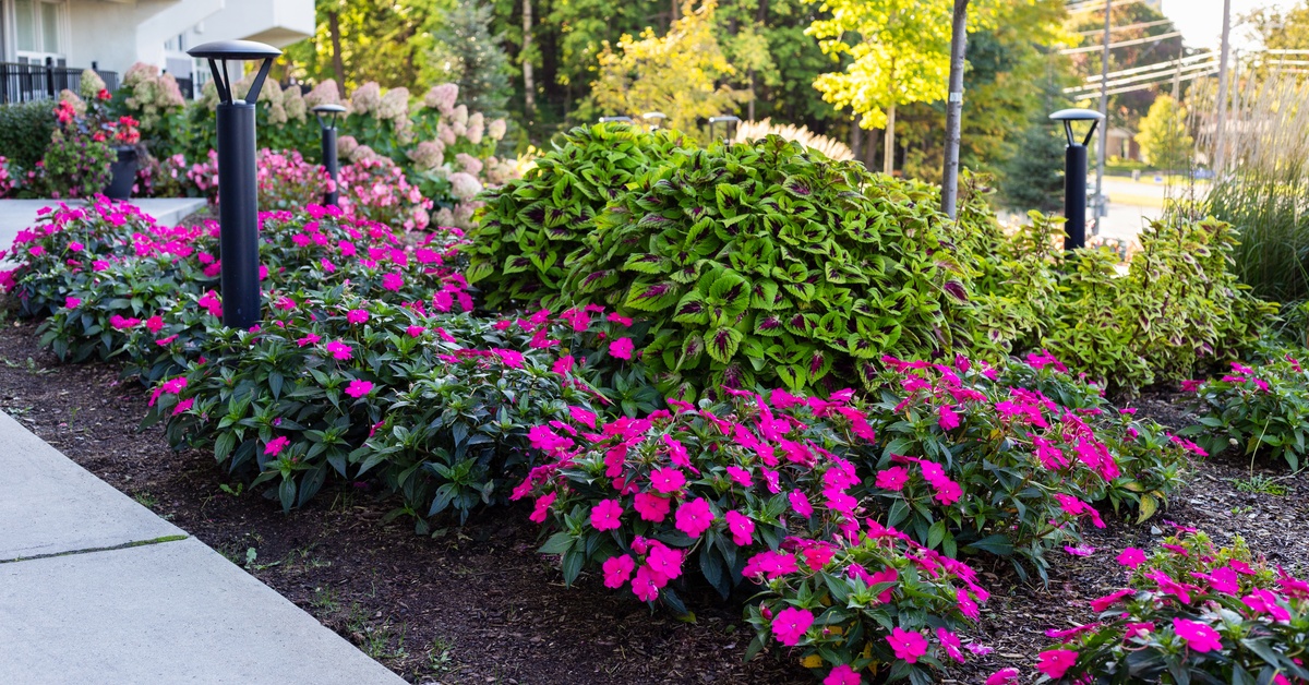 A modern apartment complex with a landscaped garden featuring shrubs, boulders, and small ornamental trees in early spring.