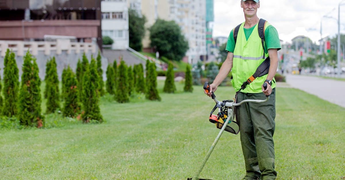 A landscaper with a grass trimmer wearing a neon vest stands on a city lawn near a row of small trees.