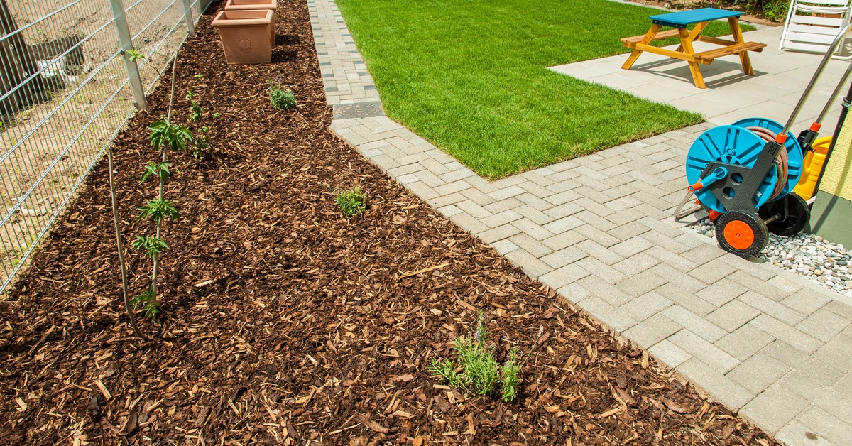 A freshly mulched garden bed with young plants next to a brick paved patio.