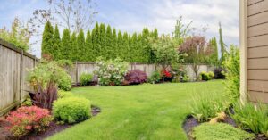 A fenced backyard with a neatly trimmed lawn, colorful shrubs, and mulched flower beds under a blue sky.