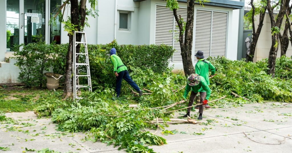 Three people in green shirts cutting and clearing branches beside a building with trees and scattered leaves on the ground.