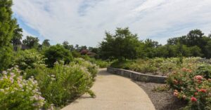 Curved pathway in a landscaped garden with colorful flowering plants, shrubs, and trees under a partly cloudy sky.