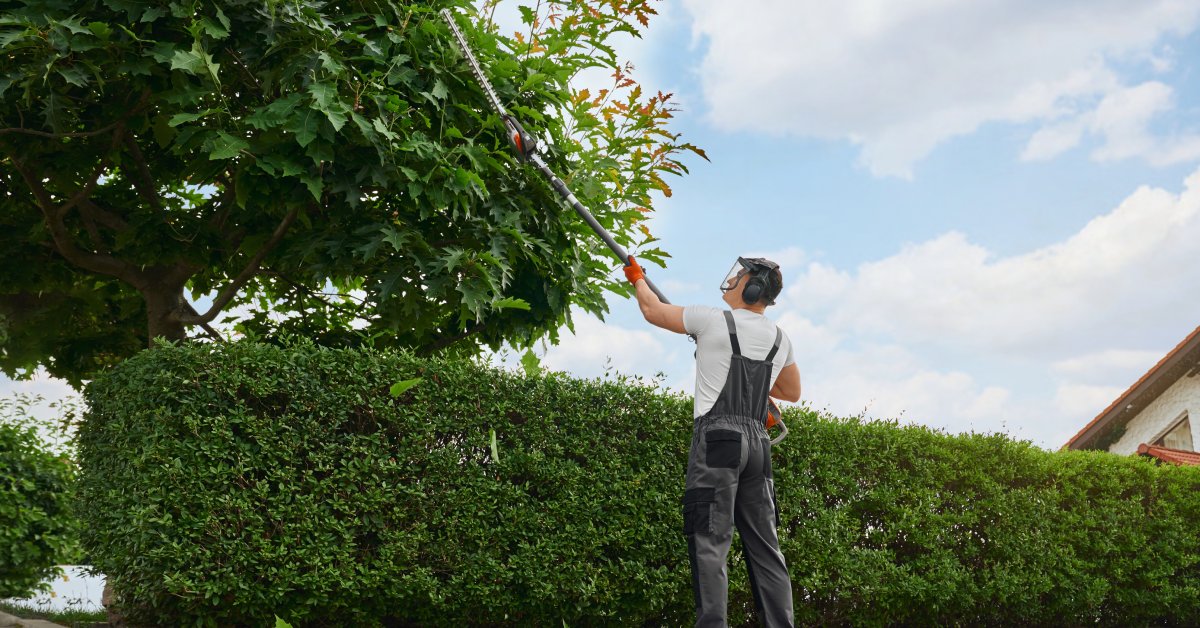 A man using a pole saw to trim and shape tall branches and hedges while keeping the yard neat and well kept.