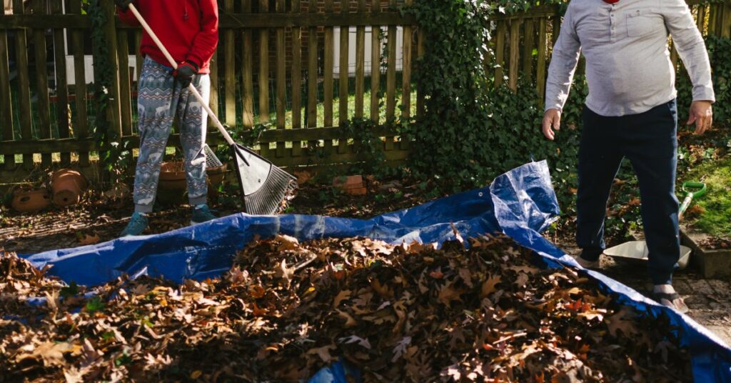 Two people moving autumn leaves into a tarp in a backyard during fall yard cleanup and seasonal maintenance.