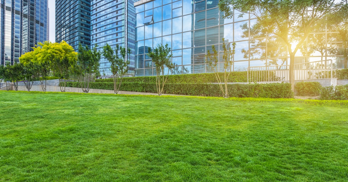 A well maintained green lawn with trees, bushes, and modern glass office buildings in the background.