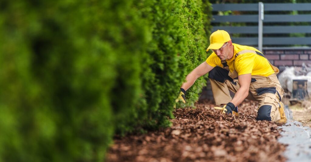 A professional landscaper wearing a yellow hat, yellow shirt, and tan overalls squats to spread brown mulch.