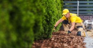 A professional landscaper wearing a yellow hat, yellow shirt, and tan overalls squats to spread brown mulch.