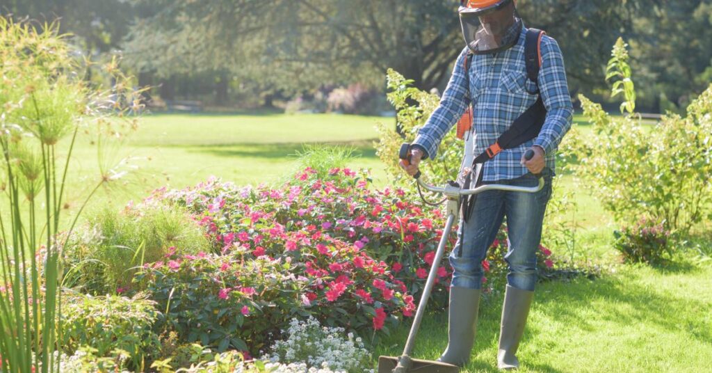 A professional landscaper is using a tool to trim the grass against a bed of white and pink flowers.