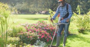 A professional landscaper is using a tool to trim the grass against a bed of white and pink flowers.