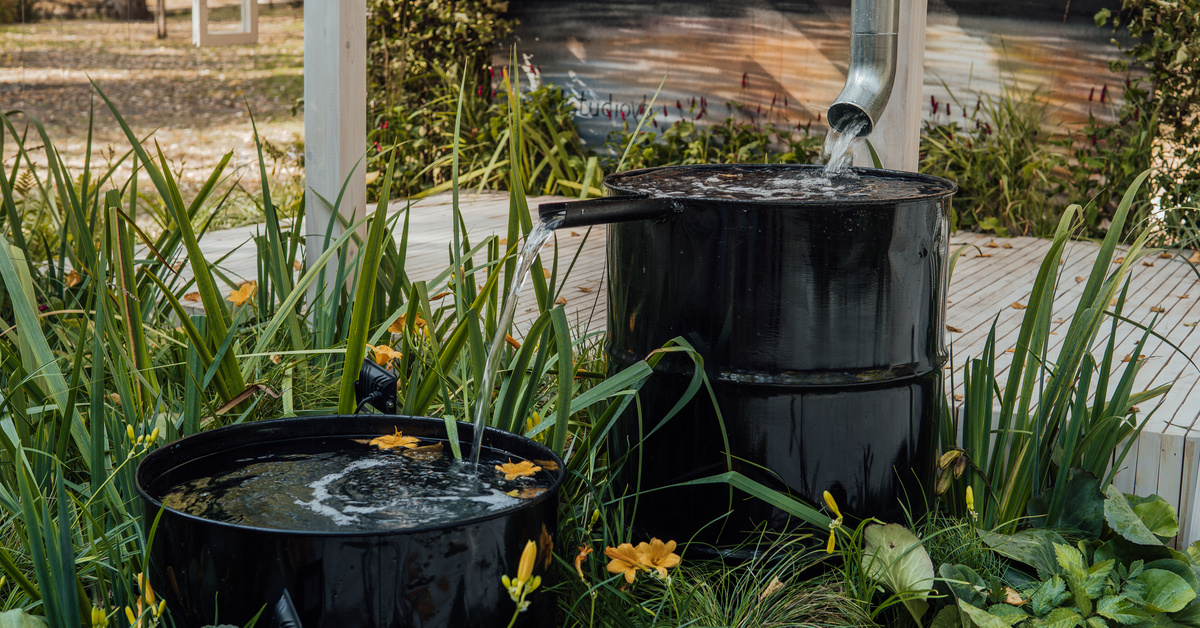 Rainwater flows down a silver downspout into two large black rain barrels, surrounded by landscaping flowers and plants.