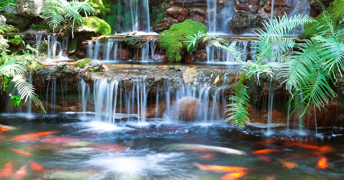A large waterfall feature flows into a Koi pond with orange and white Koi fish swimming in it. Greenery surrounds the falls.