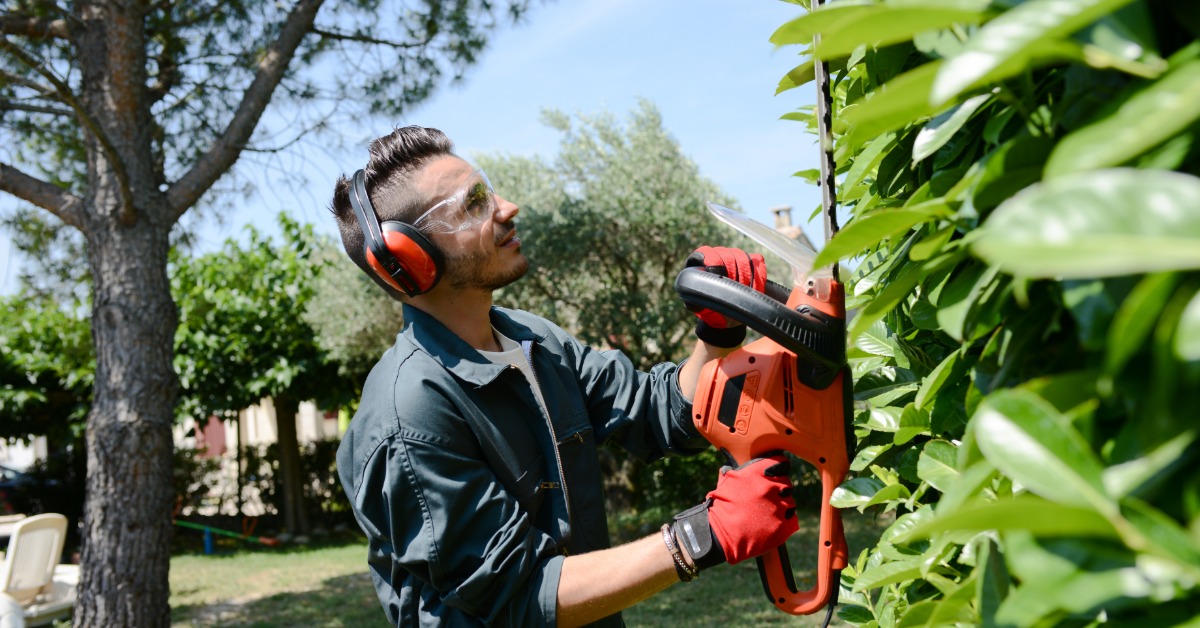A man wearing a dark-colored jumpsuit and protective headphones and eyewear is using a tool to trim large hedges.