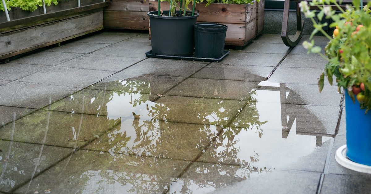 A concrete patio features a raised garden bed and other potted plants. A puddle sits in the middle of the patio.