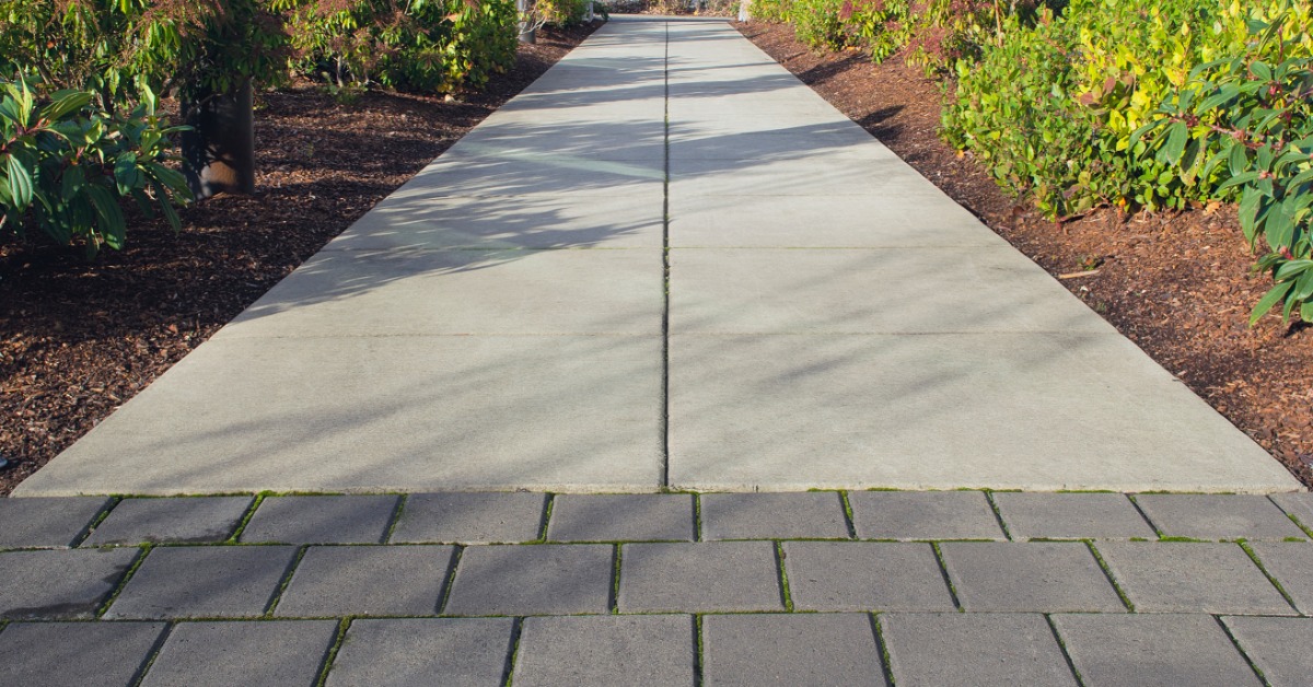 A concrete pathway is lined by small bushes and leads to a road. Brown mulch surrounds the small bushes.