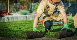 A man wearing a tan T-shirt, tan overalls, and green work gloves is squatting to unroll two rolls of sod.