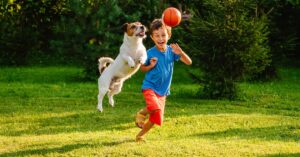 An excited young boy is playing with a small basketball in the yard. A small dog is jumping to catch the ball.