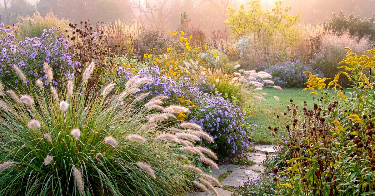 A beautiful garden is full of lush ornamental grasses, colorful flowers, and stepping stones. The sun shines on the plants.